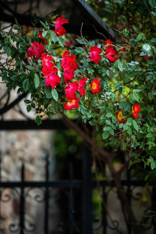 הוילה Sithonia Mulberry House מראה חיצוני תמונה